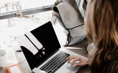 From being a Programmer to Director of the company