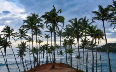 Sri Lanka Trip Testimony