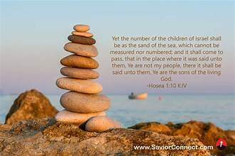 Question answer series [53] : How does the Lord see sin and its impact on us?