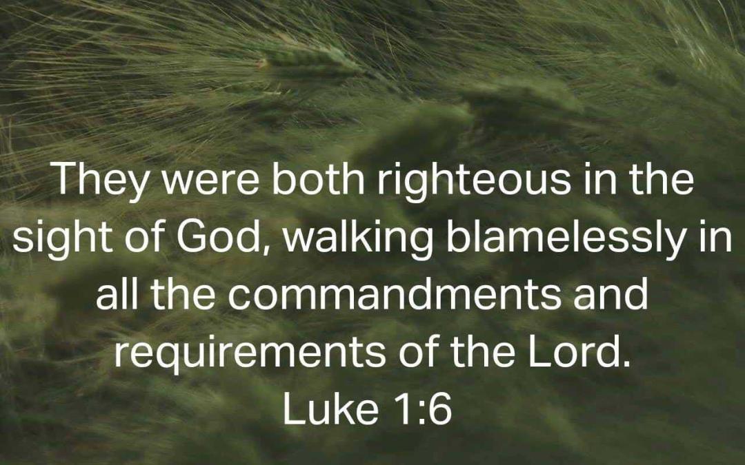 Extraordinary Women Of God[6] : Elizabeth Blameless In Pain