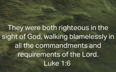 Extraordinary Women Of God[6] : Elizabeth Blameless In Pain