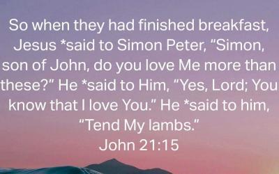 Question Jesus Asked[3]: Do you love Me more than these?”