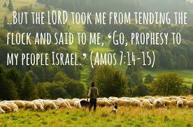 Question Answer Series [7]: Are you the Amos of this generation?