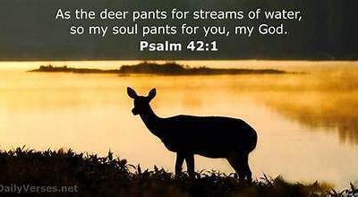 Question Answer Series [49]: Why are you cast down, O my soul?